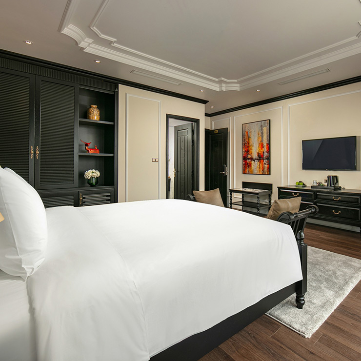 Modern Comfort & Elegant